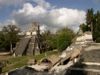 tikal2.jpg