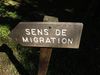 st hilaire la palud (58)