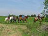 2014-05-1au4-Cere-la-Ronde 9329