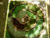 land-art-1w.jpg
