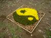 land-art-5w.jpg