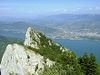 220px-Dent-du-chat 2009-08-18 01-3