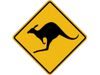 panneau-deco-kangourou-australie.jpg