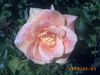 PICT0315