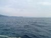 Photo0108