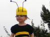 petite abeille