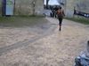 100221 - Running Trail Chateau Pierrefonds 013