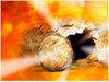 Jesus ressurection stone rolled away bright