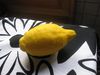 images-7453.JPG