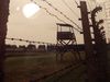 DSCN0301.JPG