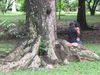 IMG_0211.JPG