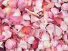 petales-de-roses.jpg
