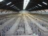 shaanxi-xi'an (12)