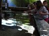 DSC09806