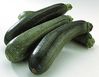 courgettes-zLE30.jpg