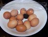 oeufs-truffe