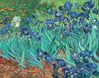 Van Gogh 22