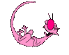 catpink.gif