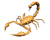 Scorpion-0.gif