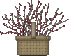 basketberrytwigs-1-.gif