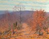 Automne en Forêt de Quèvreville (Copier)