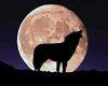 pleine lune