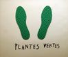 plantes vertes