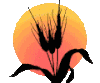 ble-4.gif