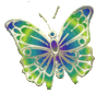 papillon-vert-bleu-070209