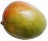 mango_fruit_mangotier.jpg