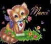 merci