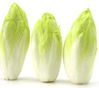 endive