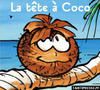 la-t--te----coco-copie-3.jpg