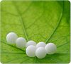 homeopathie-granules.jpg