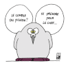 pigeon_le-chat.gif