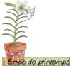 spring08_1.jpg