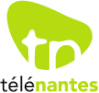 télénantes