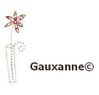 LOGO GAUXANNE