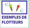 EXEMPLES FLOTTEURS