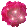 fleur 066