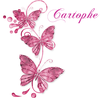 Cartophe1