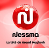 nesma logo