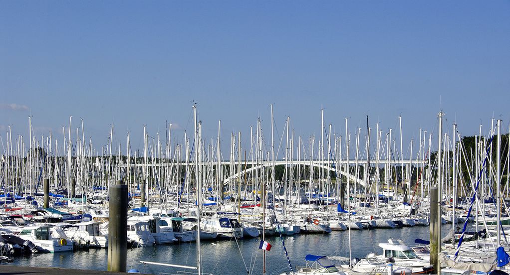 Forêt de la Trinité sur Mer