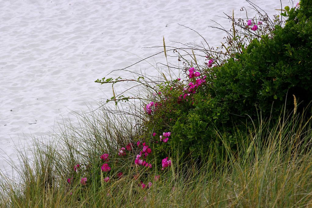 Cascade sur la plage_1