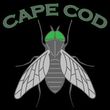 Cape-Cod-Green-Head