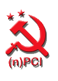 nPCI
