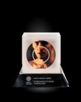 30 STM Trophy MTV O Music Awards 2011