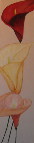 15 - les arums