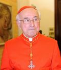 cardinalbrandmuller