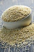 nquinoa